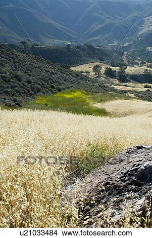 Countryside View Large Photo Image Picture - Countryside. Fotosearch