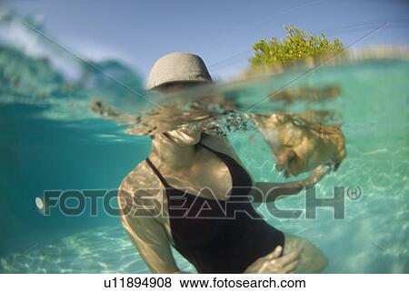 Female with her Chihuahua dog in the pool View Large Photo Image Stock Photo - Female with her Chihuahua dog in the pool. Fotosearch