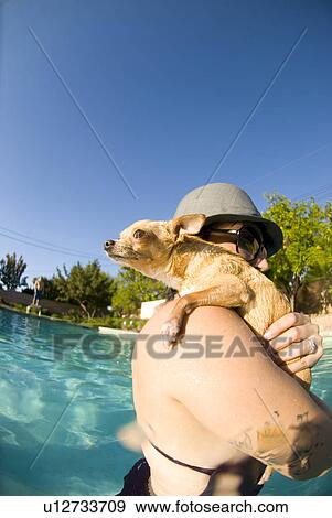 Female with her Chihuahua dog in the pool View Large Photo Image Stock Photo - Female with her Chihuahua dog in the pool. Fotosearch