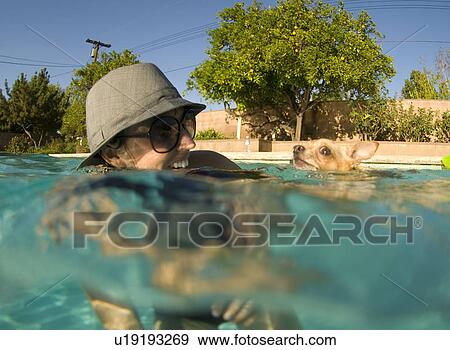 Female with her Chihuahua dog in the pool View Large Photo Image Stock Photo - Female with her Chihuahua dog in the pool. Fotosearch