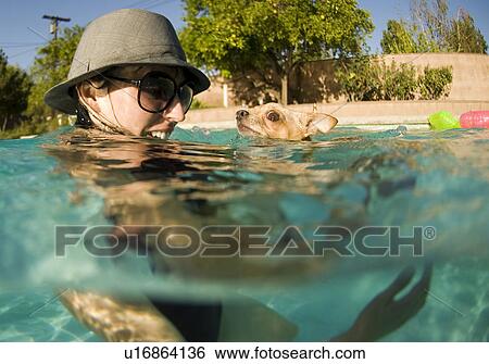 Stock Photograph - Female with her Chihuahua dog in the pool. Fotosearch