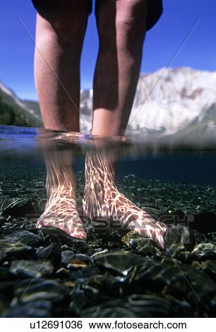 Female's legs and feet under water View Large Photo Image Stock Photograph - Female's legs and feet under water. Fotosearch