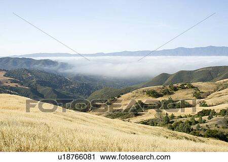 Fog over the valley View Large Photo Image Stock Image - Fog over the valley. Fotosearch