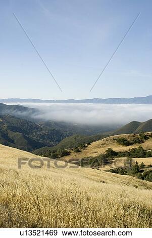 Fog over the valley View Large Photo Image Stock Photo - Fog over the valley. Fotosearch
