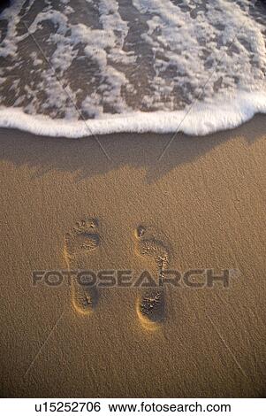 Stock Photograph - Footprints in the sand. Fotosearch