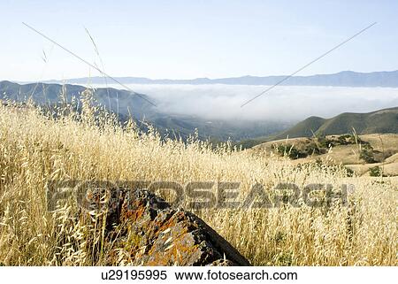 Stock Photography - Grasslands and mountains. Fotosearch