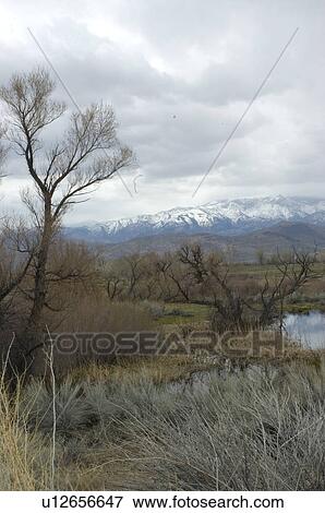 Stock Photo - Grassy land in-front of mountains. Fotosearch