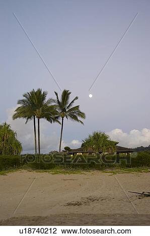 Stock Image - Hanalei Bay beach Princeville Kauai Hawaii USA. Fotosearch
