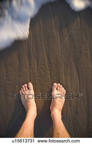 Looking down at a male feet standing on the sand View Large Photo Image Stock Image - Looking down at a male feet standing on the sand. Fotosearch