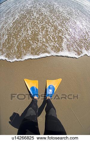 Stock Photography - Looking down at flippers. Fotosearch