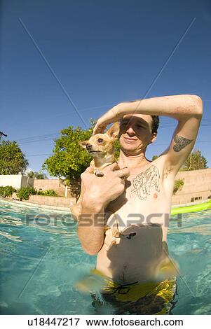 Male and his Chihuahua dog in a pool View Large Photo Image Stock Photo - Male and his Chihuahua dog in a pool. Fotosearch