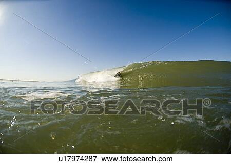 Stock Photo - Male surfer. Fotosearch