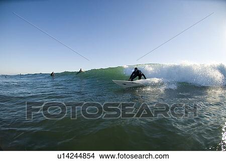 Picture - Male surfer surfing. Fotosearch