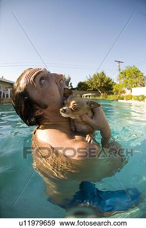 Stock Photo - Man licking a chihuahua in a pool. Fotosearch