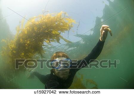 Man underwater View Large Photo Image Stock Image - Man underwater. Fotosearch