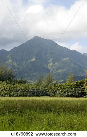 Stock Image - Mountain in clouds Hanalei Bay Kauai. Fotosearch