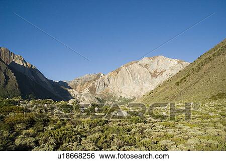 Stock Photograph - Mountains and bushes. Fotosearch