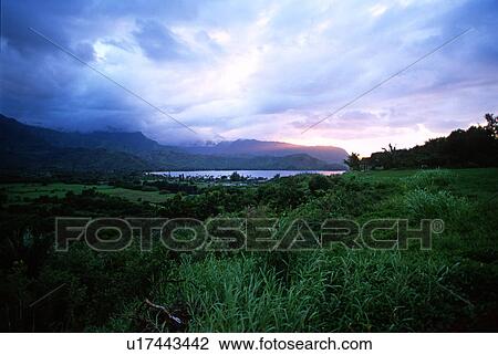 Stock Image - Over looking Hanalei Bay Princeville Kauai Hawaii USA. Fotosearch