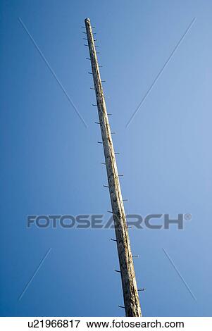 Phone pole View Large Photo Image Stock Photo - Phone pole. Fotosearch