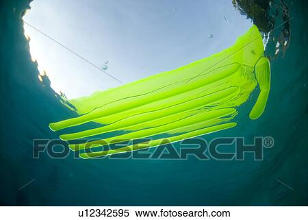 Raft floating in a pool View Large Photo Image Stock Photography - Raft floating in a pool. Fotosearch