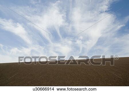 Picture - Sandy landscape. Fotosearch