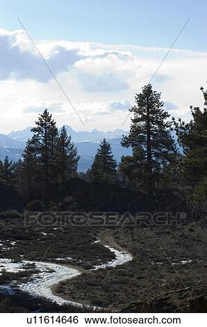 Snowy road in the mountains with trees View Large Photo Image Stock Photograph - Snowy road in the mountains with trees. Fotosearch