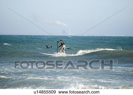 Stand up surfer View Large Photo Image Stock Photo - Stand up surfer. Fotosearch
