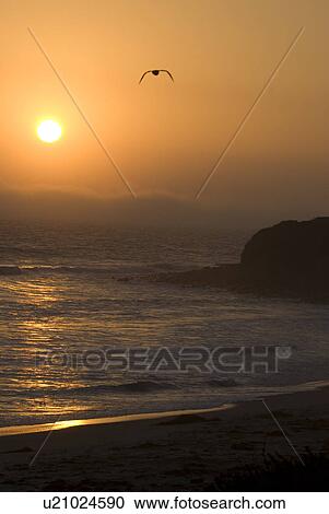 Stock Image - Sunset on the shoreline. Fotosearch