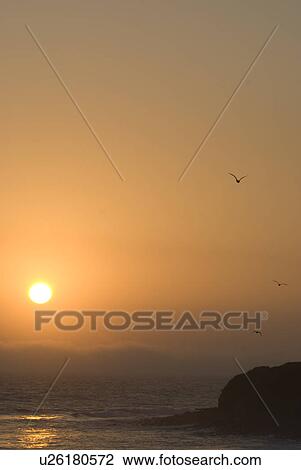 Sunset over the ocean View Large Photo Image Stock Image - Sunset over the ocean. Fotosearch