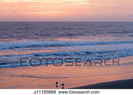 Stock Photo - Sunset over the ocean. Fotosearch