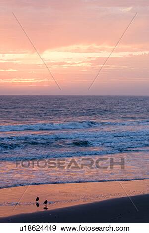 Stock Photo - Sunset over the ocean. Fotosearch