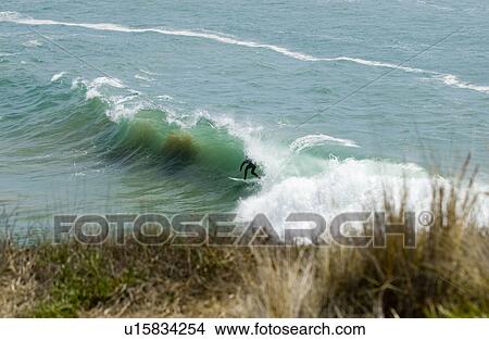 Picture - Surfer surfing. Fotosearch