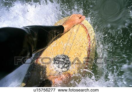 Surfing in the ocean View Large Photo Image Stock Photo - Surfing in the ocean. Fotosearch