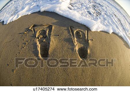 Picture - Swim fin prints in the beach. Fotosearch