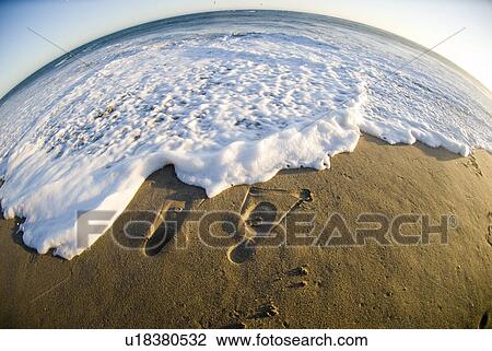 Stock Image - Swim fin prints in the beach. Fotosearch