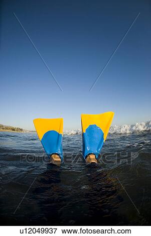 Stock Photo - Swim fins in the ocean. Fotosearch