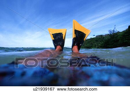 Stock Photo - Swim fins in the water. Fotosearch