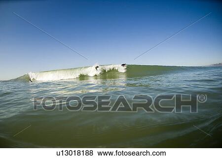 Stock Photo - Two surfers. Fotosearch