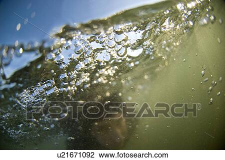 Under water shot of a male View Large Photo Image Stock Image - Under water shot of a male. Fotosearch