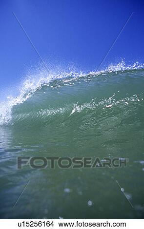Picture - Wave breaking. Fotosearch
