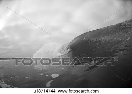 Picture - Wave. Fotosearch