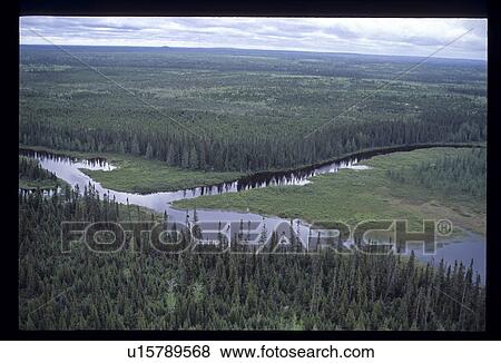 Stock Photo - Aerial of river through forest. Fotosearch