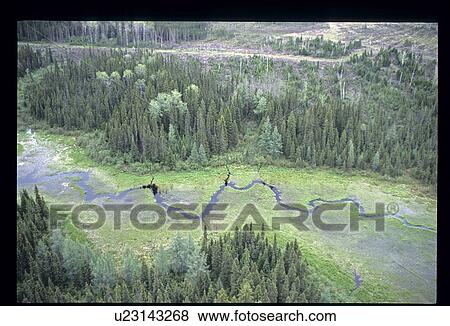 Stock Photo - Aerial of river through forest. Fotosearch