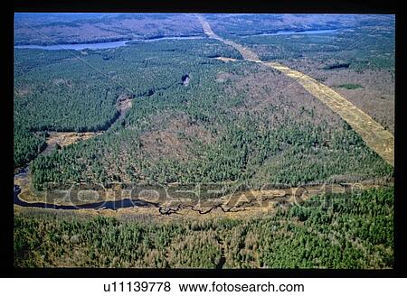 Stock Photo - Aerial of riverbed through forest. Fotosearch