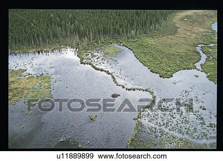 Aerial view of flooded river View Large Photo Image Stock Photo - Aerial view of flooded river. Fotosearch