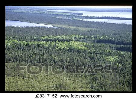 Stock Image - Aerial view of forest and lake. Fotosearch