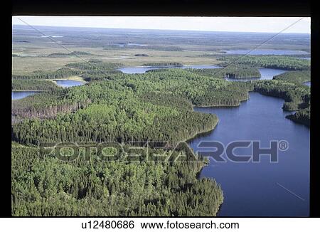 Aerial view of forest and lakes View Large Photo Image Stock Photograph - Aerial view of forest and lakes. Fotosearch
