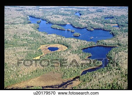 Aerial view of river and forest View Large Photo Image Stock Image - Aerial view of river and forest. Fotosearch