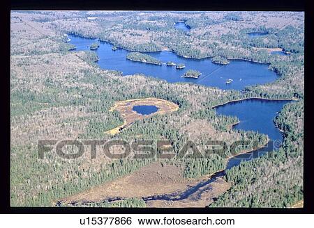 Aerial view of river and forest View Large Photo Image Stock Photograph - Aerial view of river and forest. Fotosearch