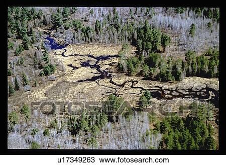 Stock Image - Aerial view of river through burned forest. Fotosearch